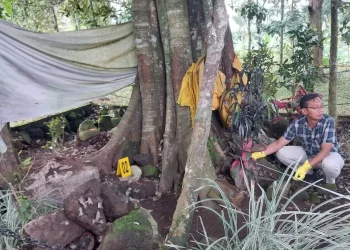 Polisi memburu pencuri arca