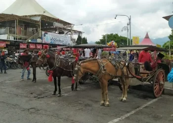 Dokar wisata