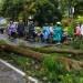 waspada pohon tumbang di Kota Batu