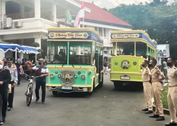 bus macito