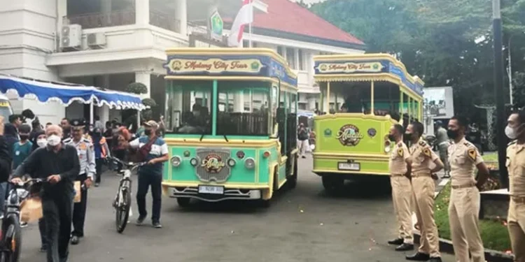 bus macito