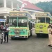 bus macito