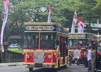 bus macito