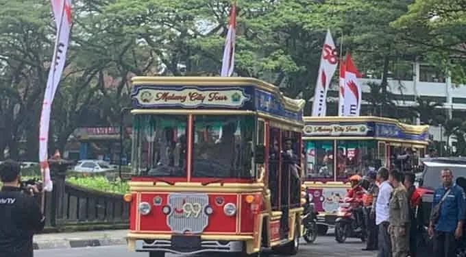 bus macito