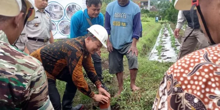 sertifikasi bidang tanah gratis