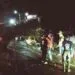 Pohon Sonokeling tumbang