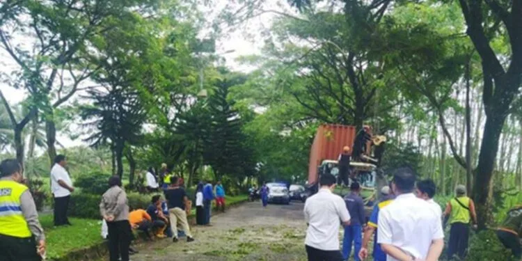 Truk kontainer serempet pohon trembesi dan tumbang