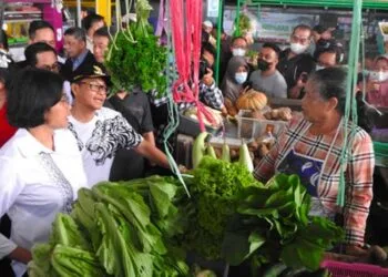 inflasi kota Malang