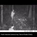 Tangkapan layar kamera pantau menangkap dua orang pemburu liar membawa senapan di lokasi hutan Tahura R Soerjo. Petugas tengah menelusuri identitas kedua pelaku.