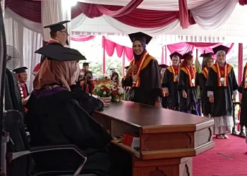 Mahasiswa,Mahasiswa STIE Malangkucekwara - Siap Terjun di Dunia Kerja, Ratusan Mahasiswa STIE Malangkucecwara Jalani Wisuda