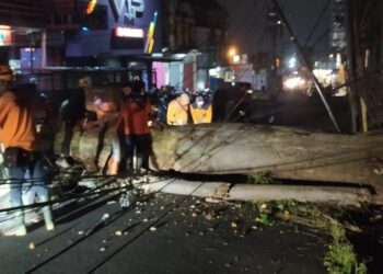 Petugas BPBD Kota Batu saat mengevakuasi material pohon tumbang setinggi 15 meter di Jalan Dewi Sartika Atas Kelurahan Temas Kecamatan Batu Kota Batu, Selasa (7/3/2023) malam.