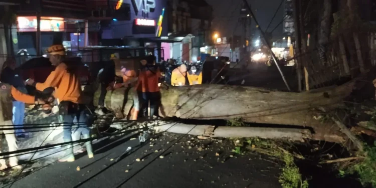 Petugas BPBD Kota Batu saat mengevakuasi material pohon tumbang setinggi 15 meter di Jalan Dewi Sartika Atas Kelurahan Temas Kecamatan Batu Kota Batu, Selasa (7/3/2023) malam.