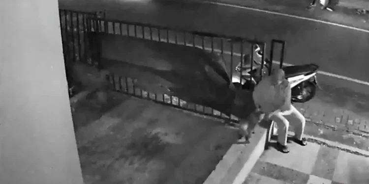 Seorang perempuan terlihat mengelus kucing sebelum mencurinya