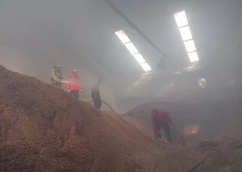 Pabrik wood Pellet terbakar