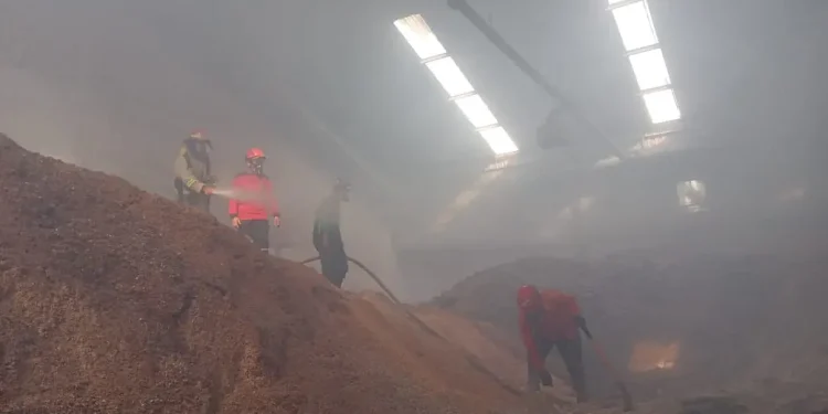 Pabrik wood Pellet terbakar