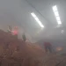 Pabrik wood Pellet terbakar