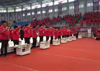 PDI Perjuangan