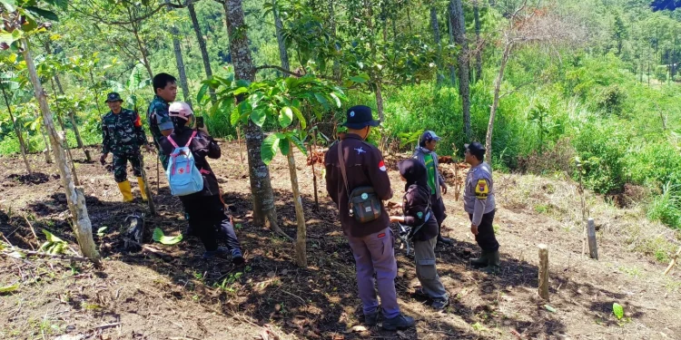 Tutup lahan pertanian ali fungsi lahan untuk ditanami tanaman keras