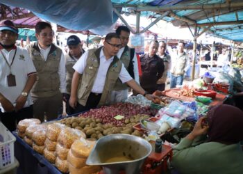 Tinjau stabilitas harga di pasar jelang ramadhan
