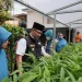 Program Pekarangan lestari.