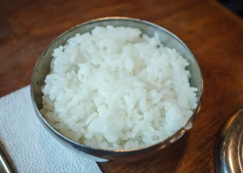 Ilustrasi nasi.