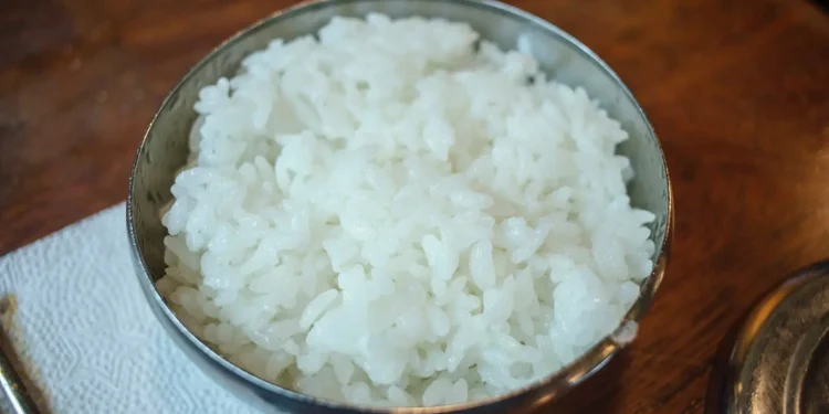 Ilustrasi nasi.