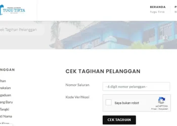 Laman resmi cek tagihan PDAM Kota Malang.