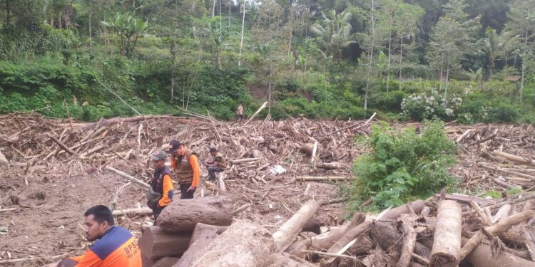 Tampak gelondongan kayu yang turut terbawa banjir bandang. Foto: Polsek Ngantang