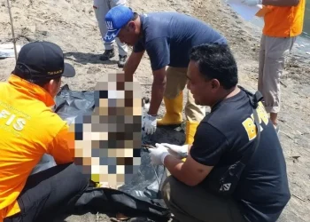 Petugas melakukan evakuasi terhadap mayat korban.