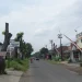 Penanganan pohon tua oleh bina marga kabupaten malang