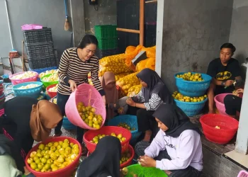 Keripik buah