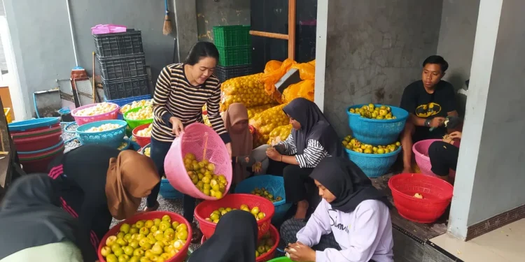 Keripik buah