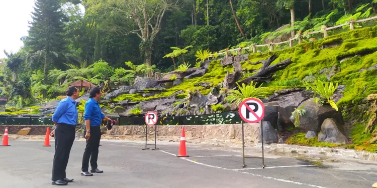 Bukit lumut