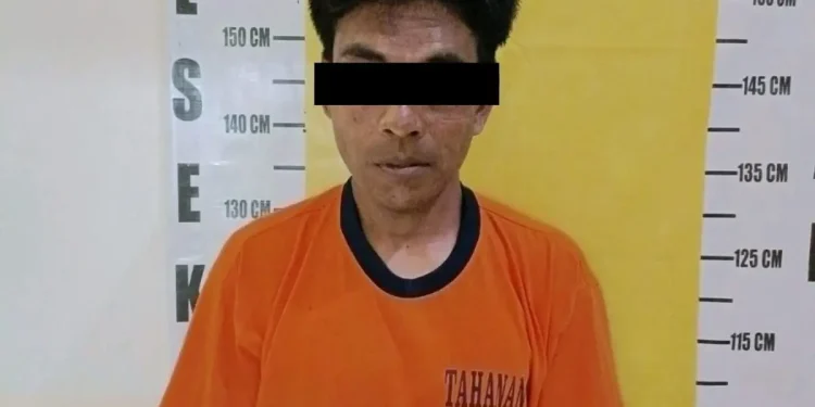 SW (40) tersangka curat di Wajak, usai diamankan polisi.
