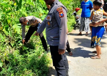 Lokasi penemuan bayi di Bantur.