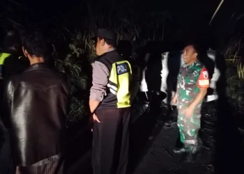 Petugas saat melakukan evakuasi di TKP.