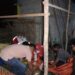 Petugas mengevakuasi mayat ODGJ yang ada di Pasar Sumbermanjing Kulon.