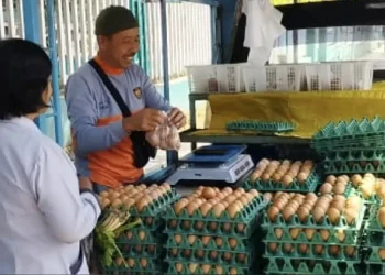 Pedagang telur di Kota Batu, Jawa Timur