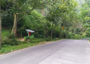 Penampakan makam misterius yang ada di tepi Jalur Klemuk, Kota Batu. Keberadaan makam ini menjadi misteri tersendiri di jalur pintas penghubung Kecamatan Pujon - Kota Batu tersebut.