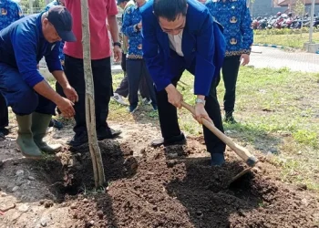 Penanaman pohon secara simbolis oleh rektor UM (02/04/2023).