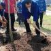 Penanaman pohon secara simbolis oleh rektor UM (02/04/2023).