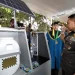 Desalinasi air laut untuk air minum
