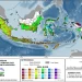 Tips cuaca tak menentu saat pergantian musim