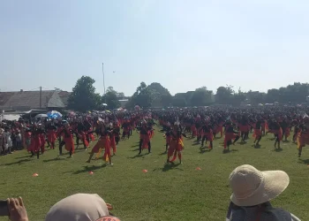 tari bapang