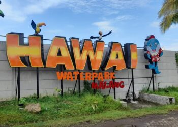 Logo Hawai Waterpark.