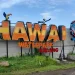 Logo Hawai Waterpark.