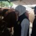 Gubernur Jatim, Khofifah Indar Parawansa mengunjungi RPH Perumda Tunas Kota Malang.