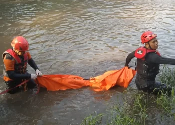 Petugas melakukan evakuasi jenazah bocah yang terseret aliran Sungai Brantas di Kota Malang.