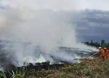 Penanganan kebakaran hutan dan lahan (karhutla) di Kota Batu, Jawa Timur.