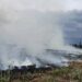 Penanganan kebakaran hutan dan lahan (karhutla) di Kota Batu, Jawa Timur.